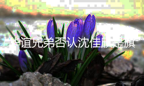佳欣旗下兄弟欣是沈佳 沈是谁说了什么华谊艺人否认
