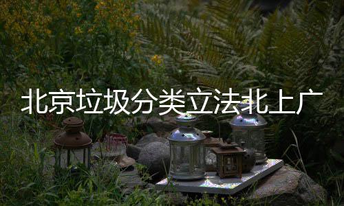 将进制分广深北京北上垃圾立法类入强分类