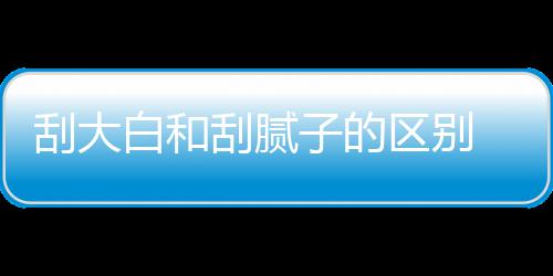 平米呢区别钱一大白多少子的刮大刮腻 刮白和