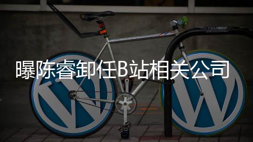 曝陈董事站相执行关公司法睿卸任B人与