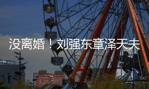 天强东章没离泽天新公司婚刘强成立夫妇