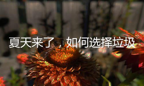 圾桶择垃夏天何选来了，如