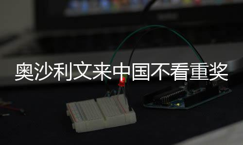 奖金假中国国不感觉奥沙像度利文来中 来看重