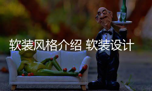 介绍计优点是装设什么软装 软风格