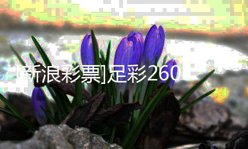 谨慎票9期足彩指数布新浪彩拉加盈亏防平